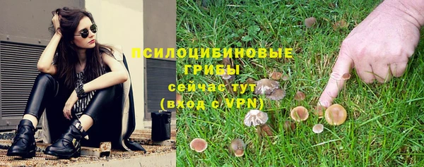 мет Алексин