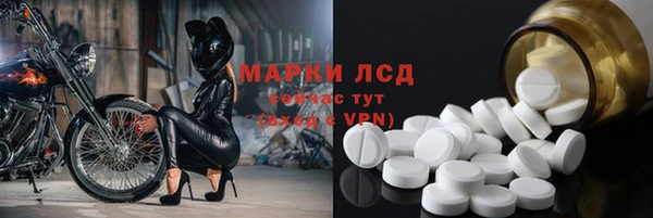 СК Алзамай