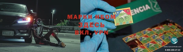 мет Алексин