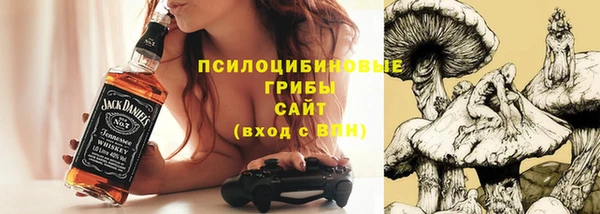мет Алексин