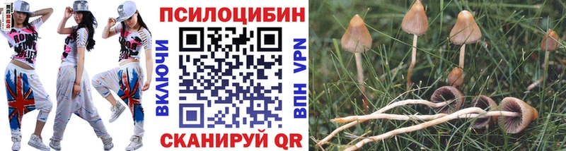 хочу наркоту  Солигалич  Псилоцибиновые грибы ЛСД 